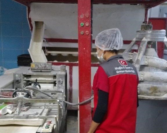 Muğla’da 478 iş yeri denetlendi