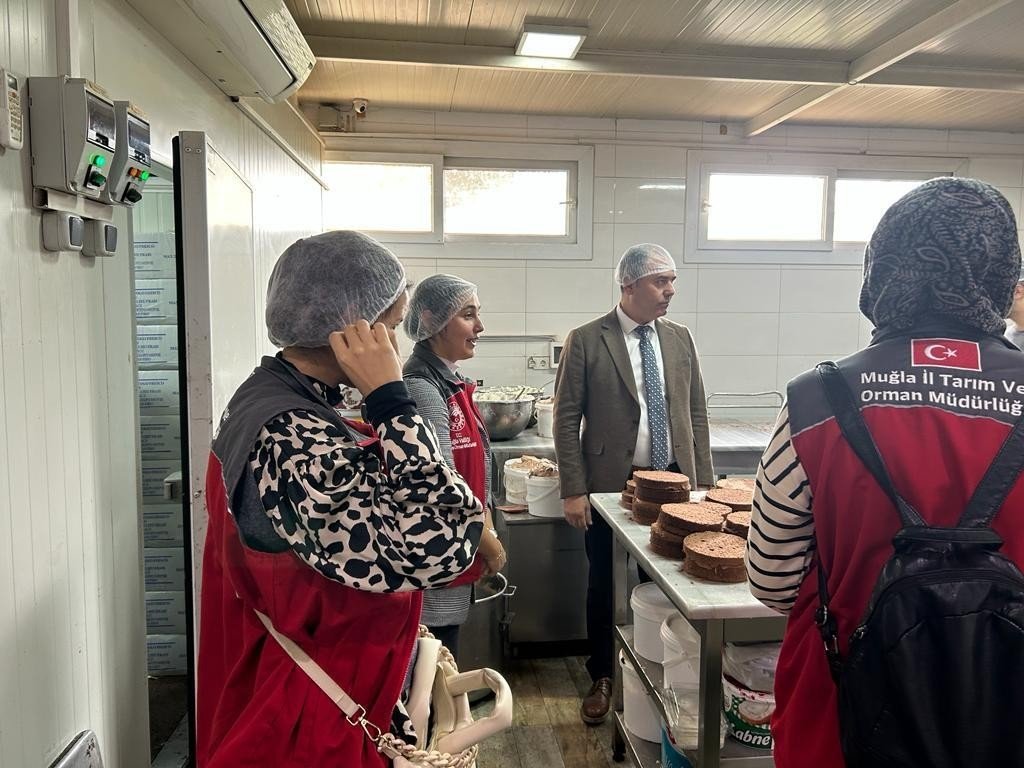 Muğla’da 478 iş yeri denetlendi