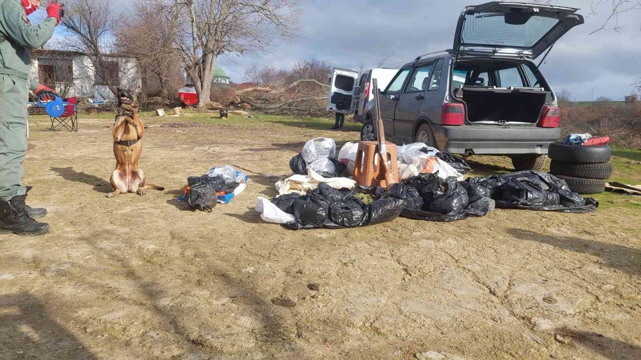 Köyü esrar tarlasına çeviren zanlı tutuklandı