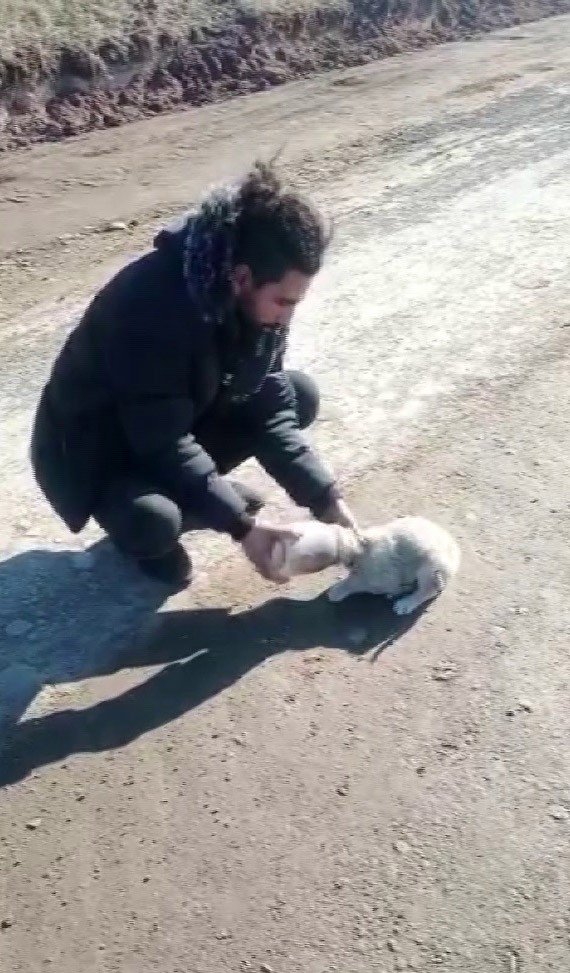 Yavru köpek kafasını öyle bir yere soktu ki bir daha çıkartamadı