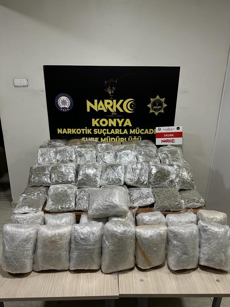 skunk-konya.jpg