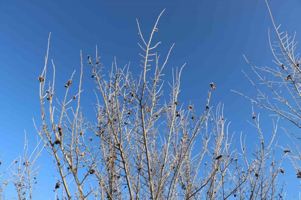 Termometreler eksi 7 dereceyi gösterdi, gölün yüzeyi kısmen buz tuttu