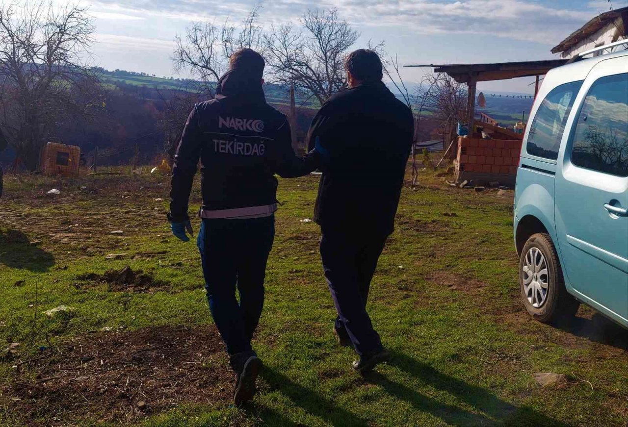 Köyü esrar tarlasına çeviren zanlı tutuklandı