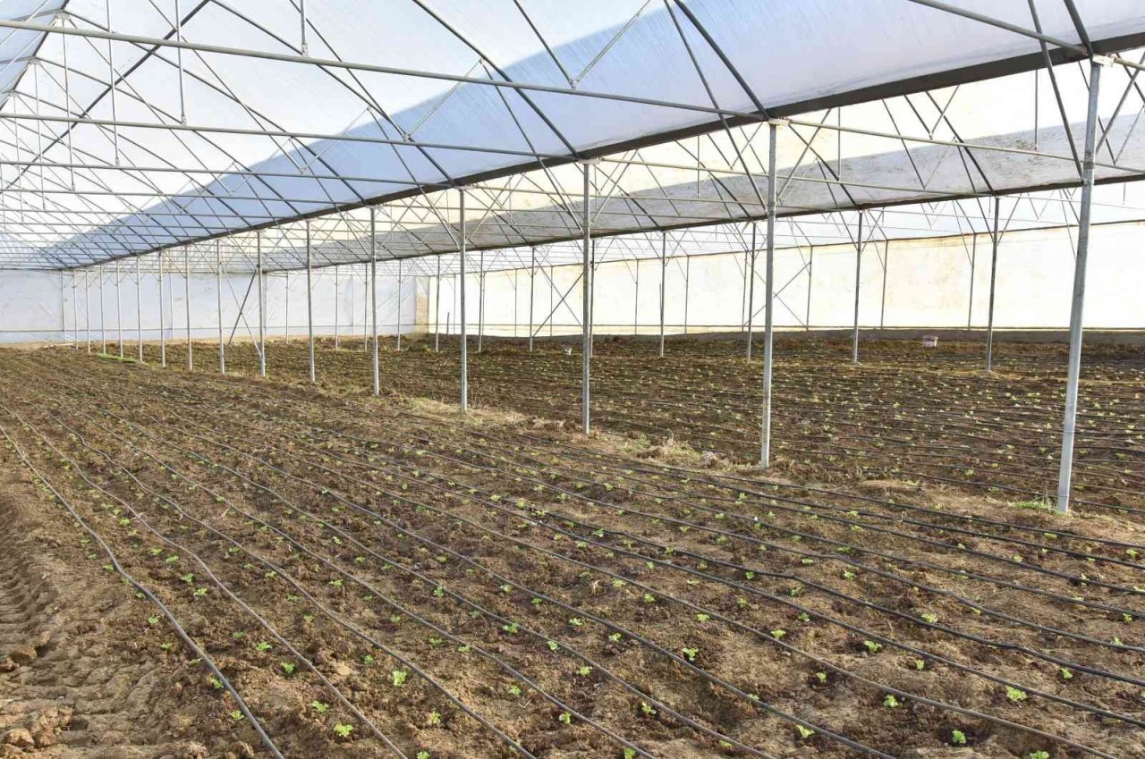 Tekkeköy’den çiftçiye sera desteği