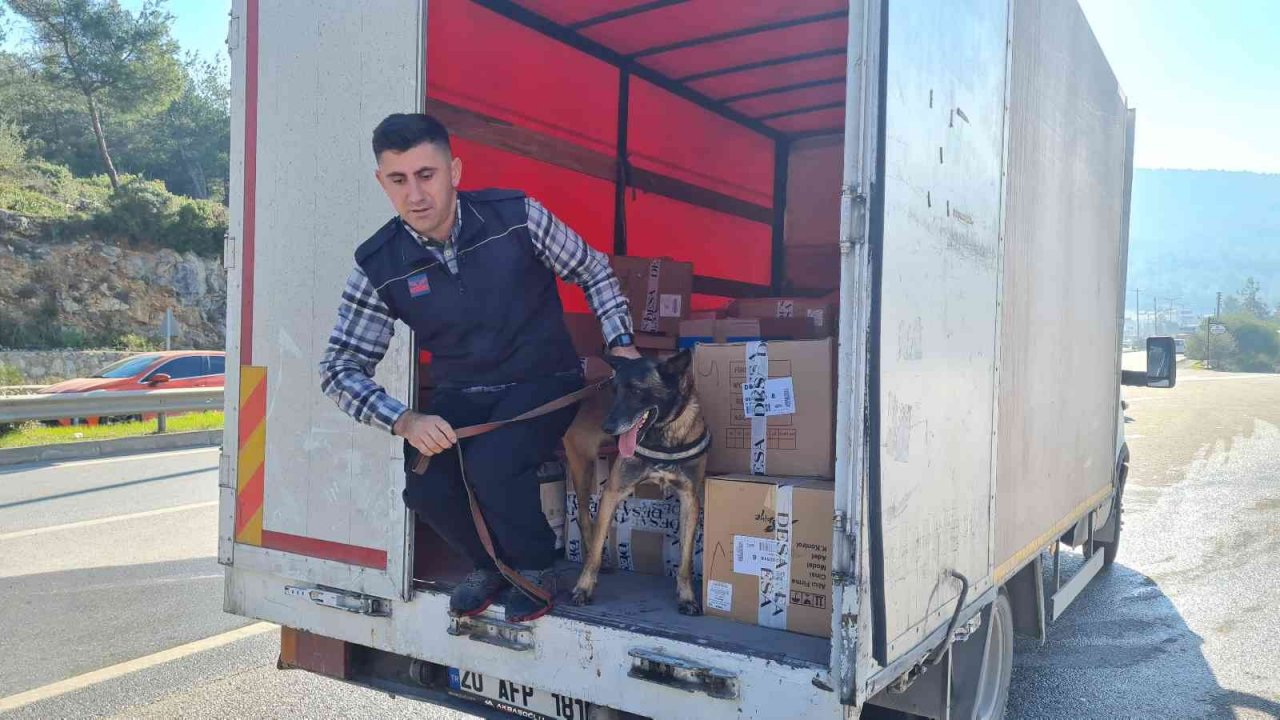 24 saatte 15 bin araç girdi