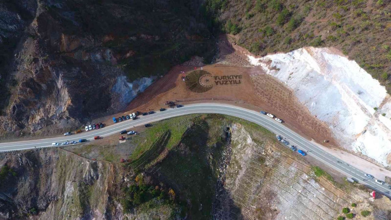 Artvin’de 36 bin fidanla “Türkiye Yüzyılı” logosu işlendi