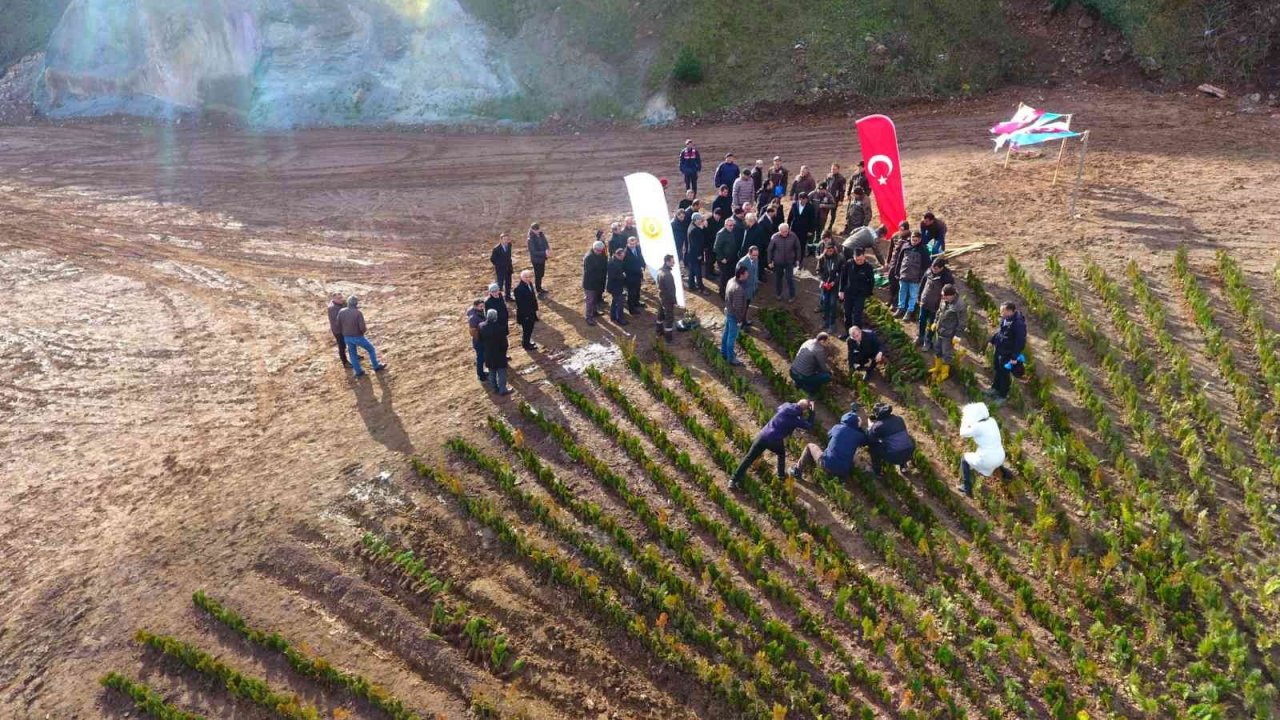Artvin’de 36 bin fidanla “Türkiye Yüzyılı” logosu işlendi