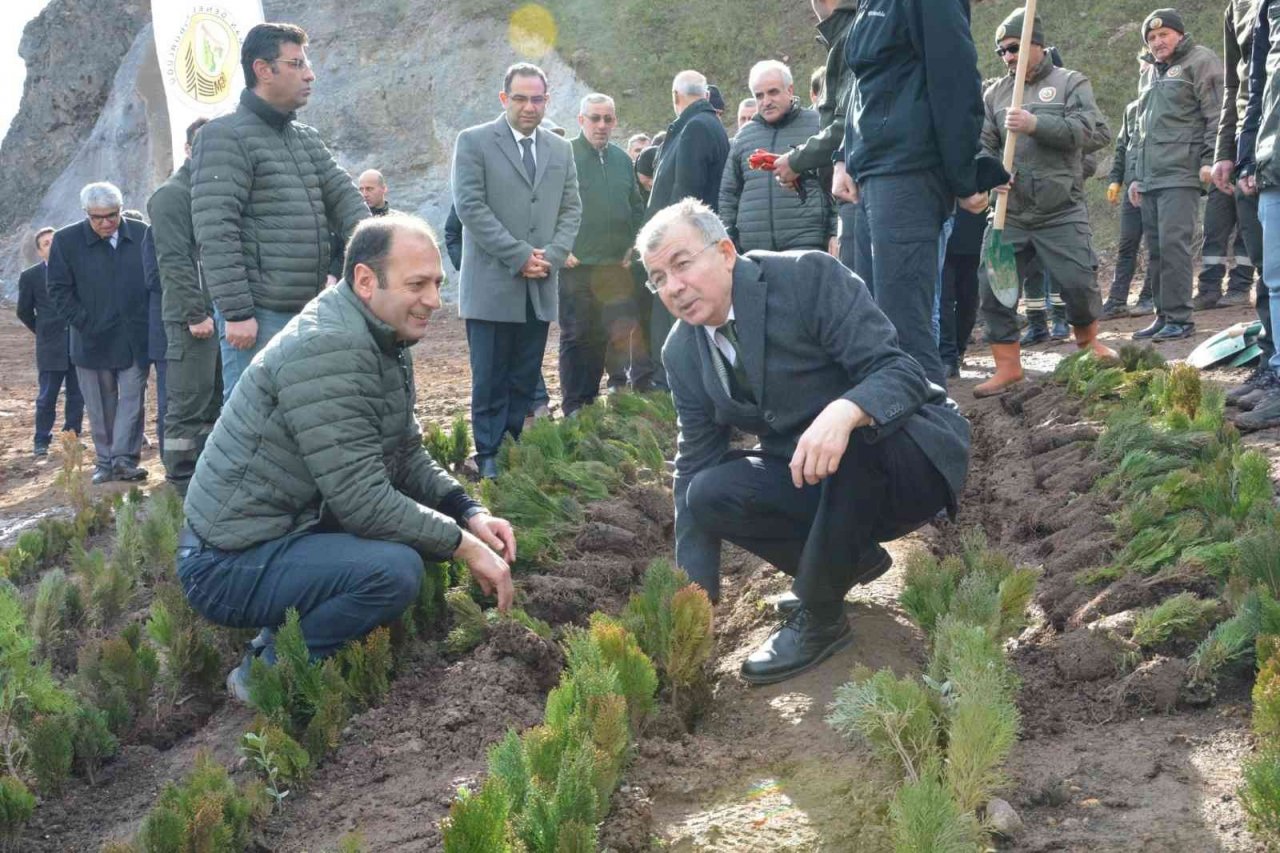 Artvin’de 36 bin fidanla “Türkiye Yüzyılı” logosu işlendi