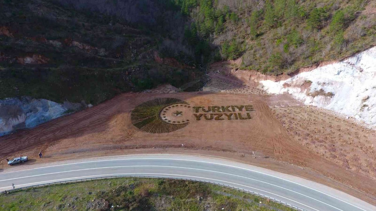 Artvin’de 36 bin fidanla “Türkiye Yüzyılı” logosu işlendi