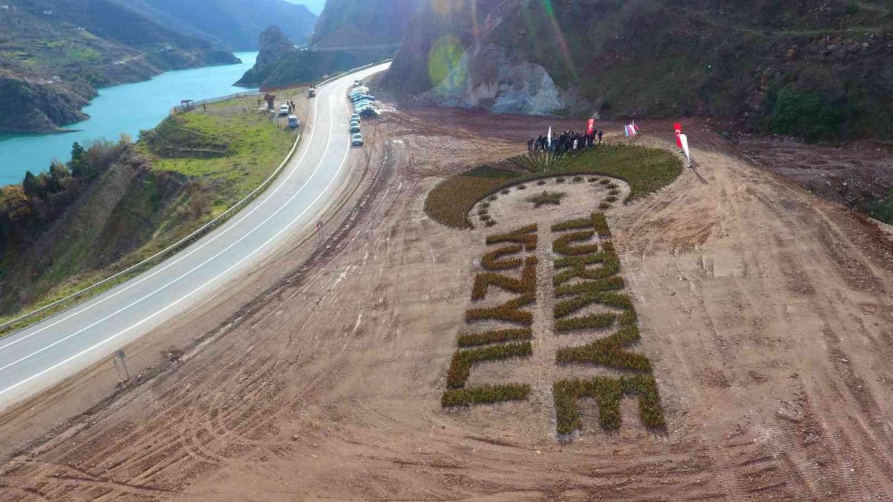 Artvin’de 36 bin fidanla “Türkiye Yüzyılı” logosu işlendi