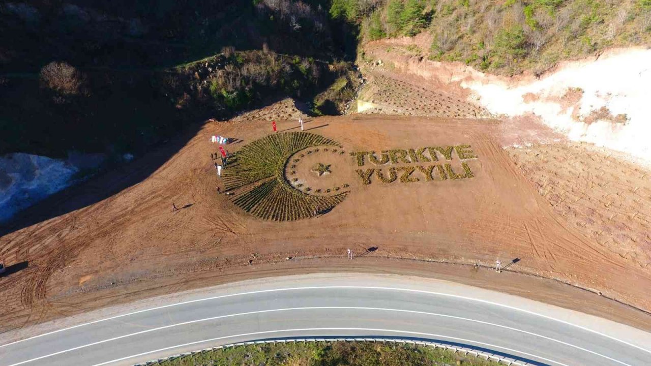Artvin’de 36 bin fidanla “Türkiye Yüzyılı” logosu işlendi