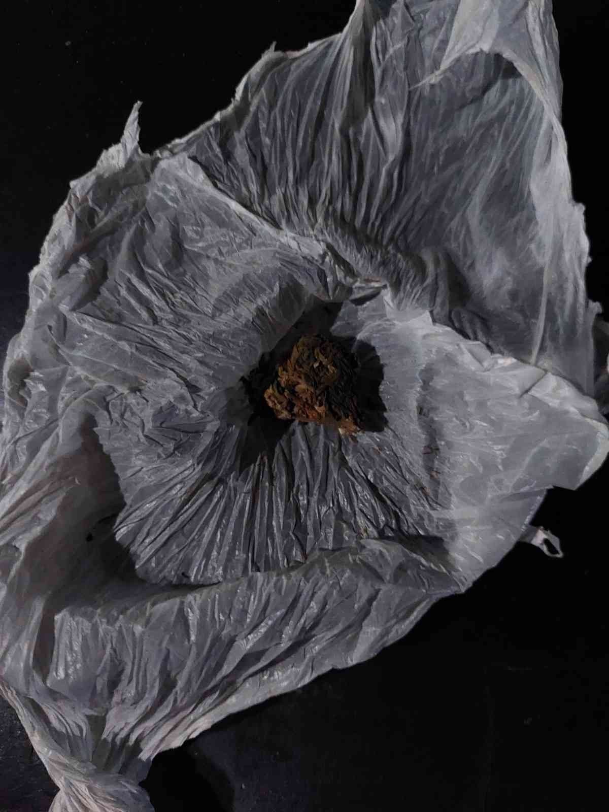 Aydın’da jandarma ekipleri uyuşturucuya geçit vermiyor