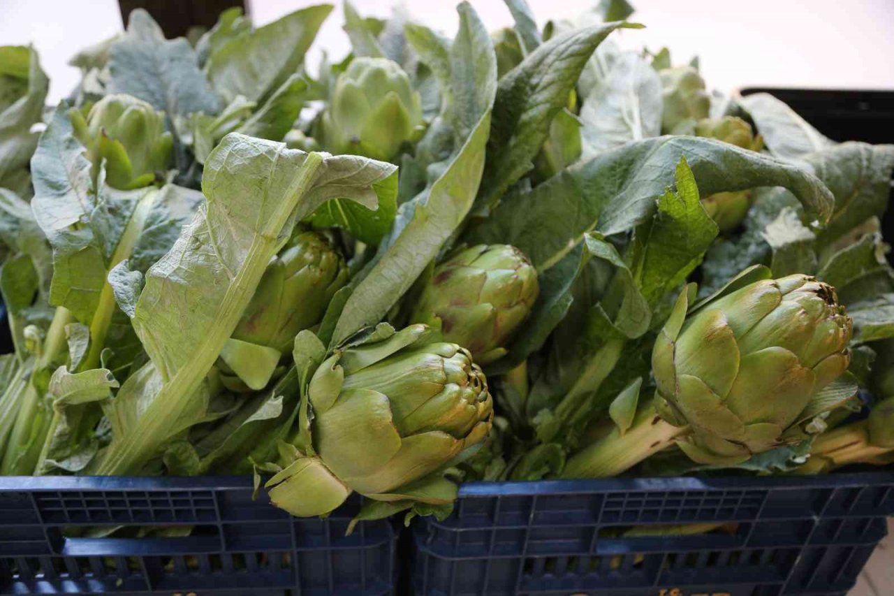 Efeler’in taze enginarları Efe Bakkal raflarında yerini aldı