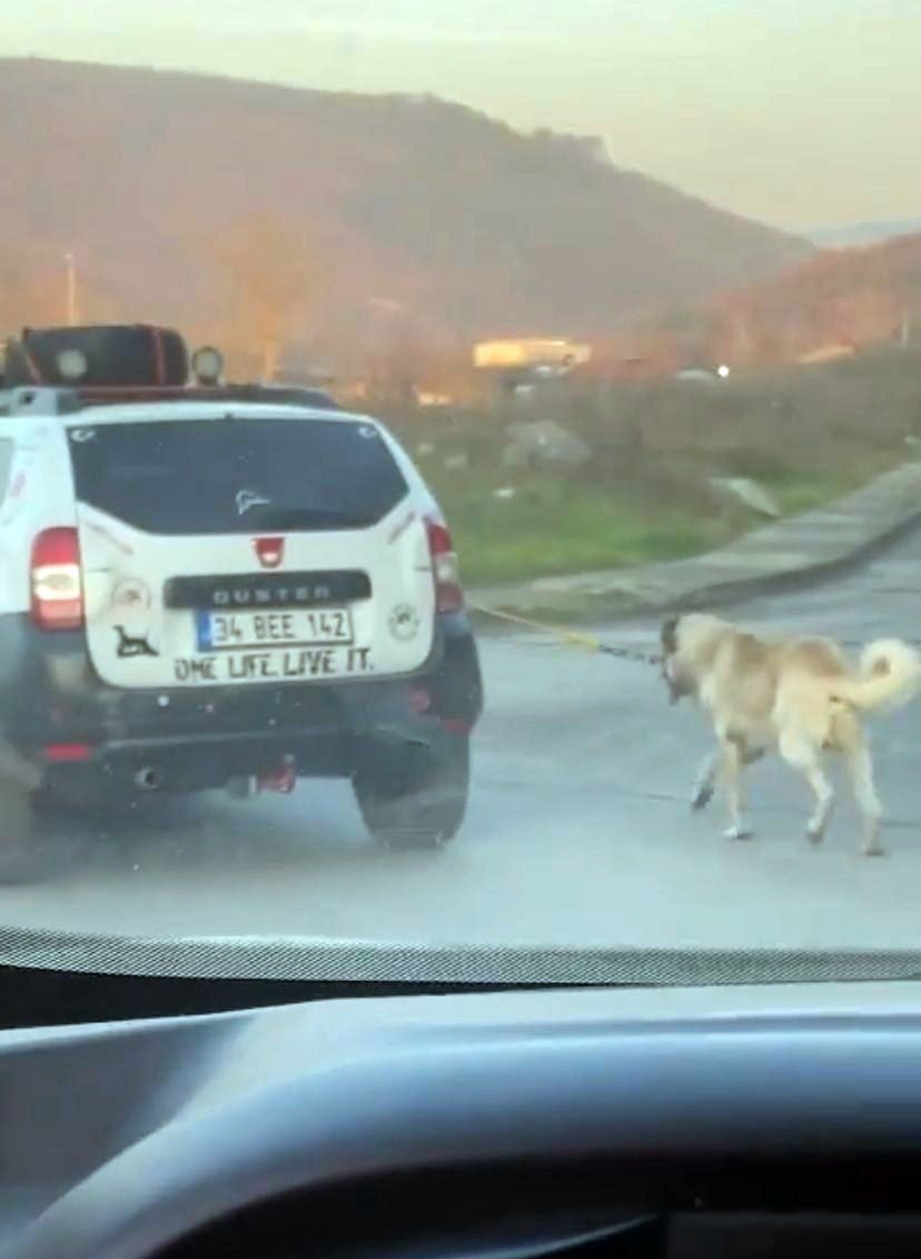 Boğazına ip bağladığı köpeği metrelerce sürükledi
