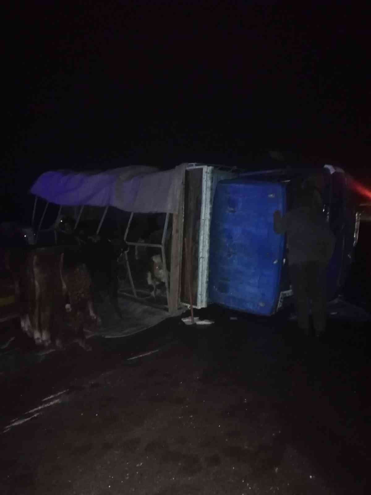 Hayvan yüklü kamyonet ile hafif ticari araç çarpıştı: 5 yaralı