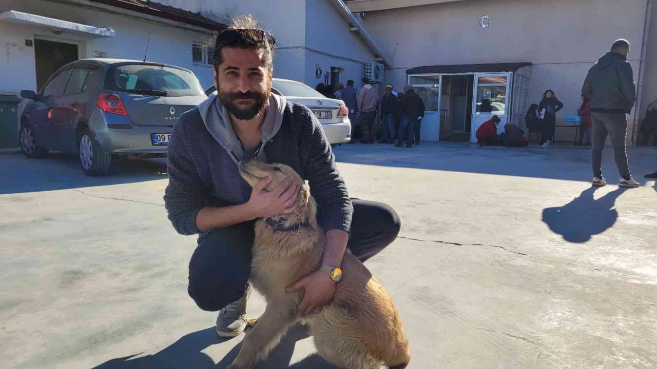 Efeler’de 3 bin evcil hayvan çiplendi