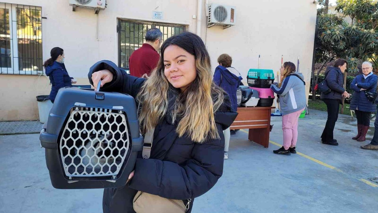 Efeler’de 3 bin evcil hayvan çiplendi