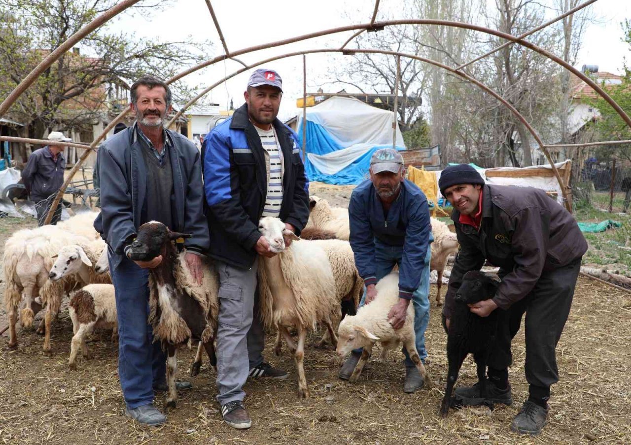 Antalya tarımına geçen yıl 143 milyonluk destek sağlandı