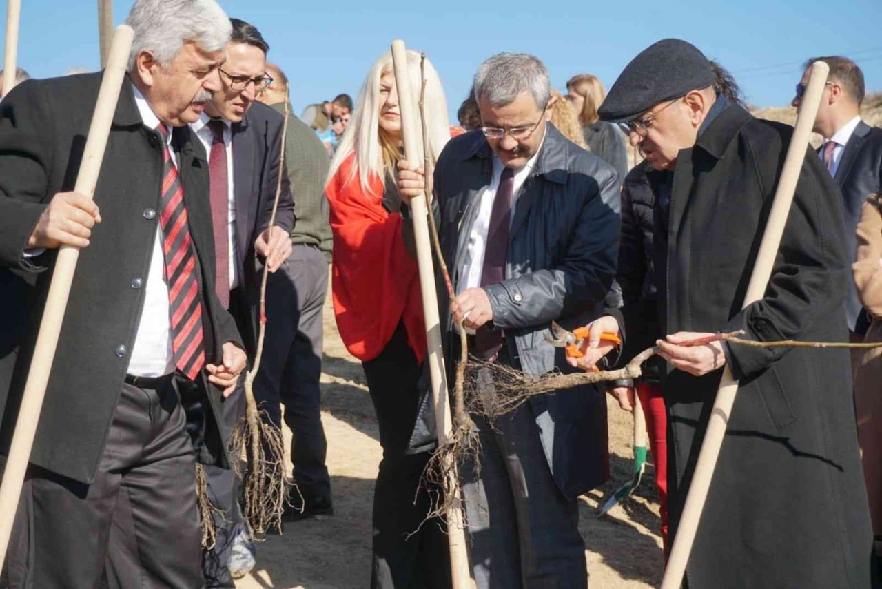 Çivril’de 15 Temmuz şehitleri anısına 300 ceviz fidanı toprakla buluşturuldu