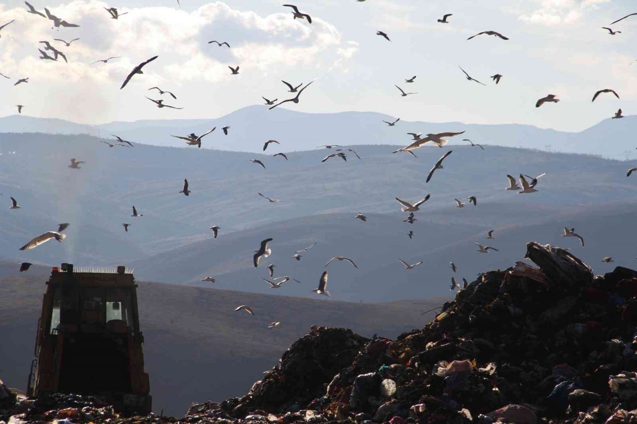 Elazığ’da 130 bin ton çöp, 11 bin haneye elektrik olarak geri döndü