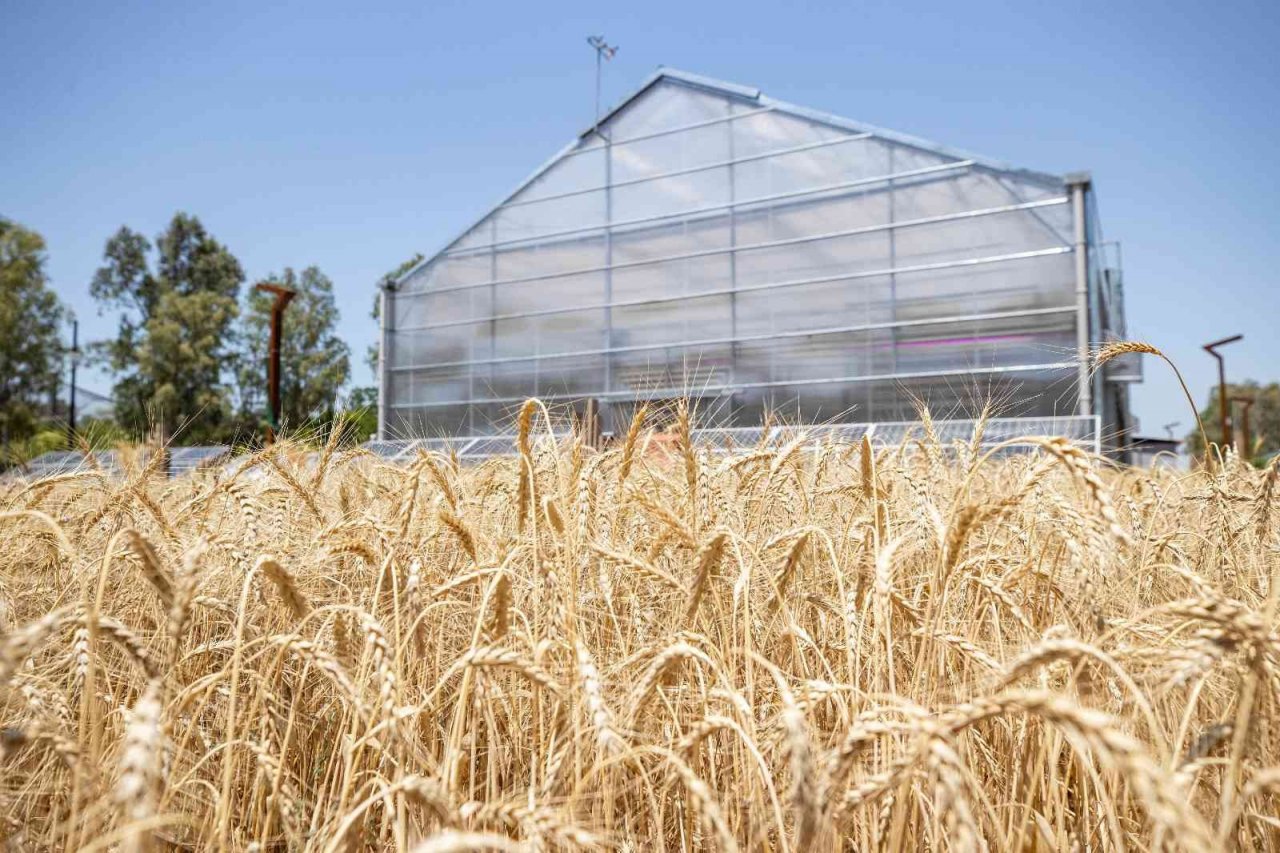 İzmir Tarımı Geliştirme Merkezine ödül