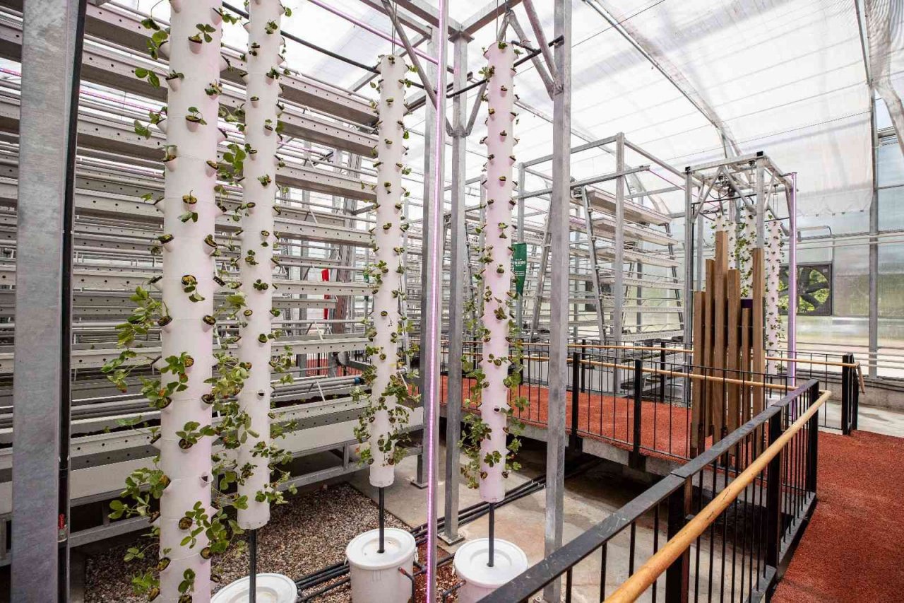 İzmir Tarımı Geliştirme Merkezine ödül