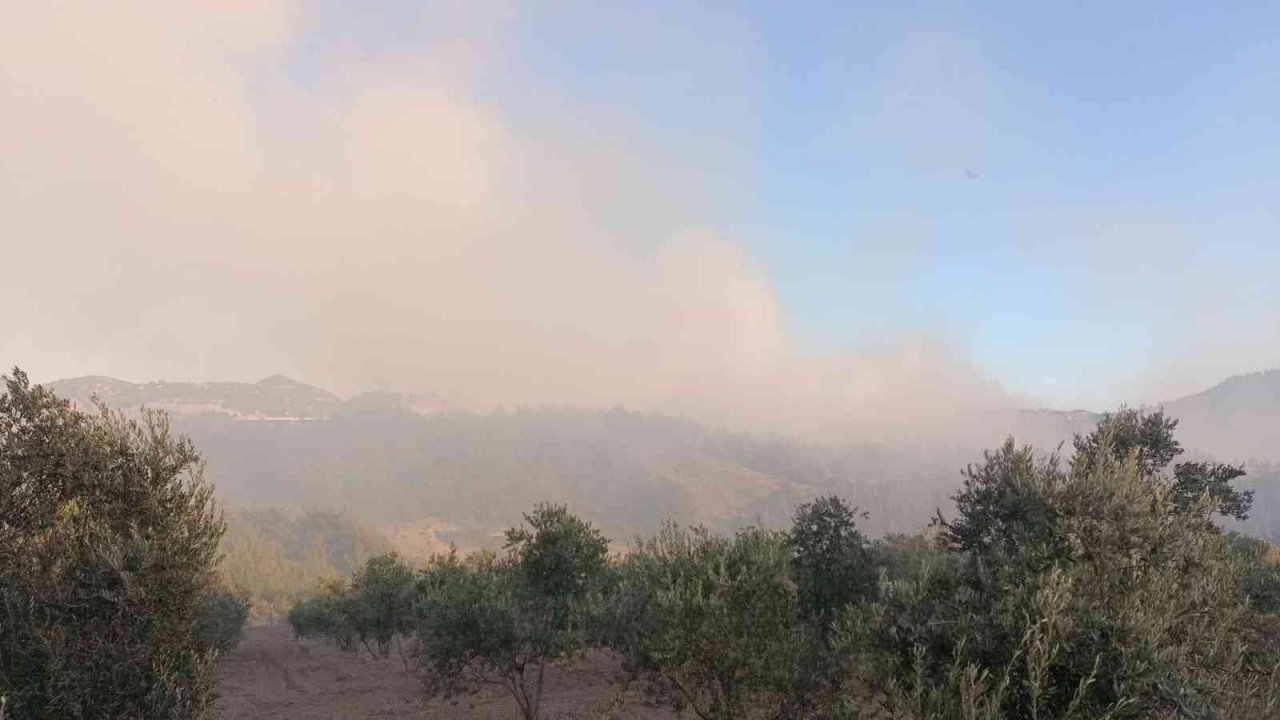 Osmaniye’de orman yangını