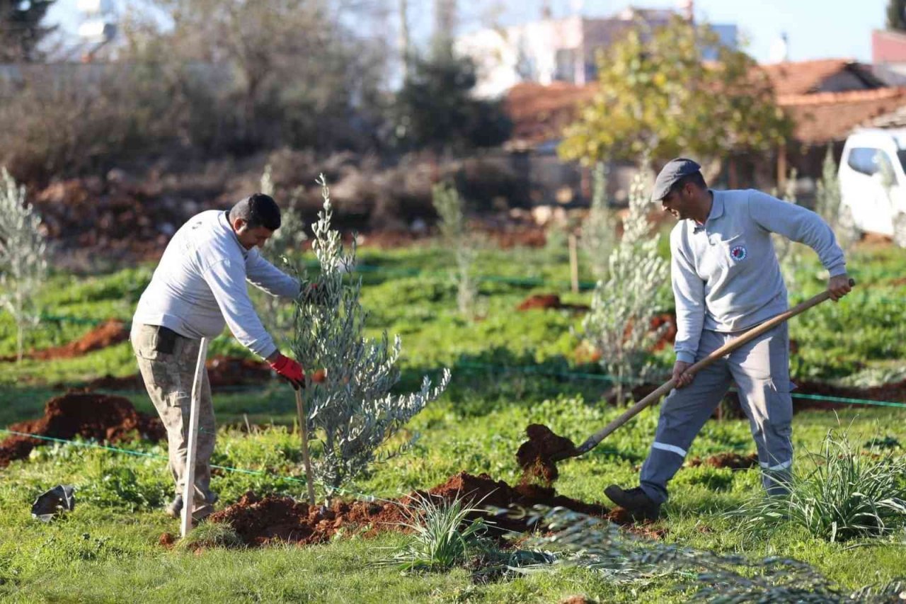 Zeytin Çiftliğinden elde edilecek gelirin tamamı 35 bin öğrenciye burs olacak
