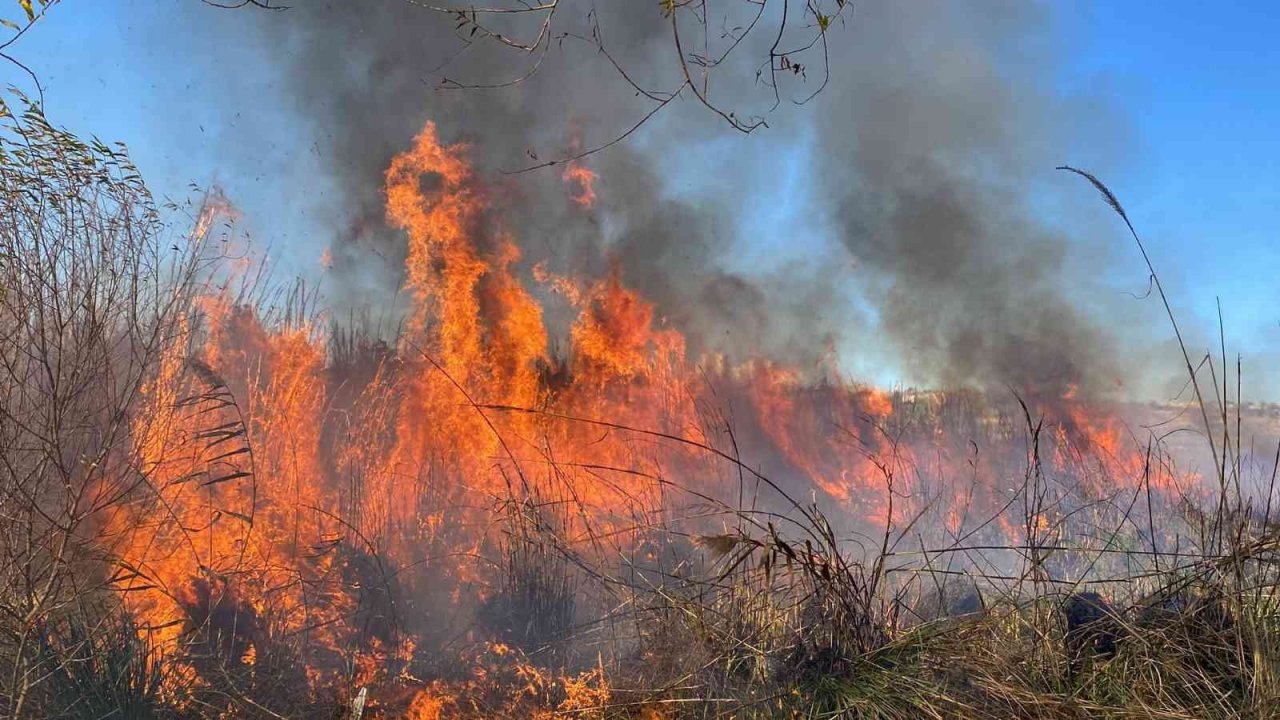 Antalya’da evleri tehdit eden sazlık yangını