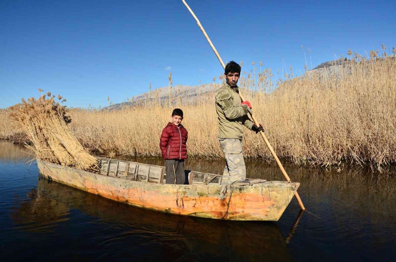 Gökgöl’ün saz otu Avrupa’ya ihraç ediliyor