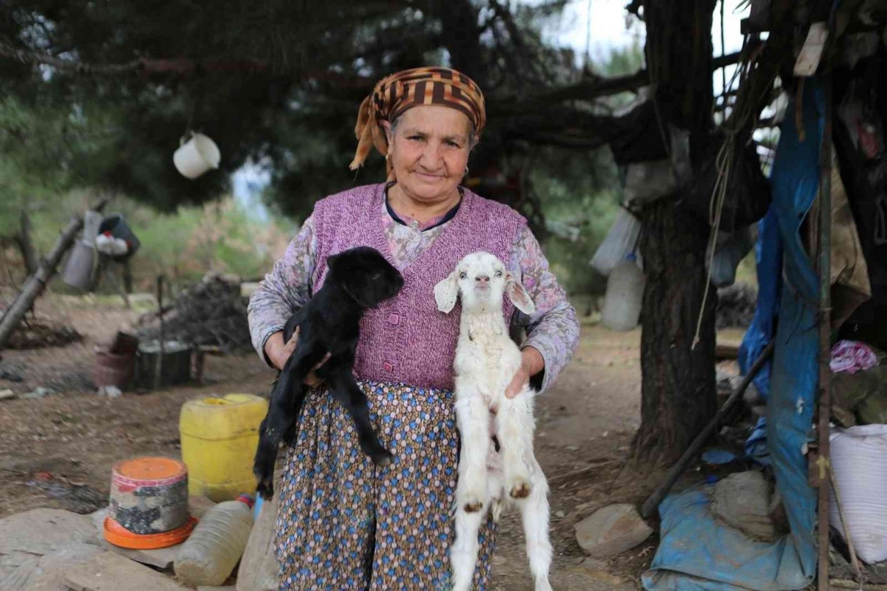 İzmir tarımı projelerle bereketlendi