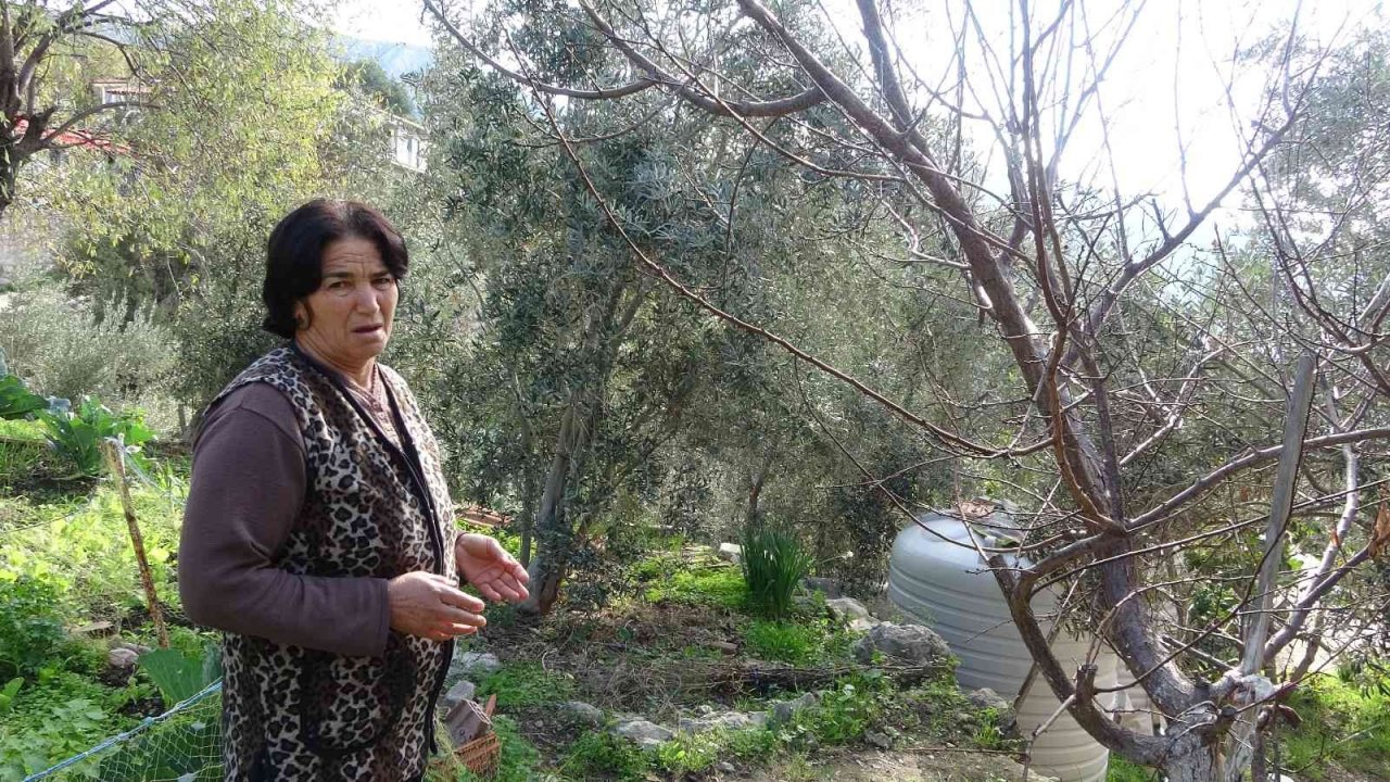 Kuraklık, Marmaris Söğüt’te hayatı olumsuz etkiledi