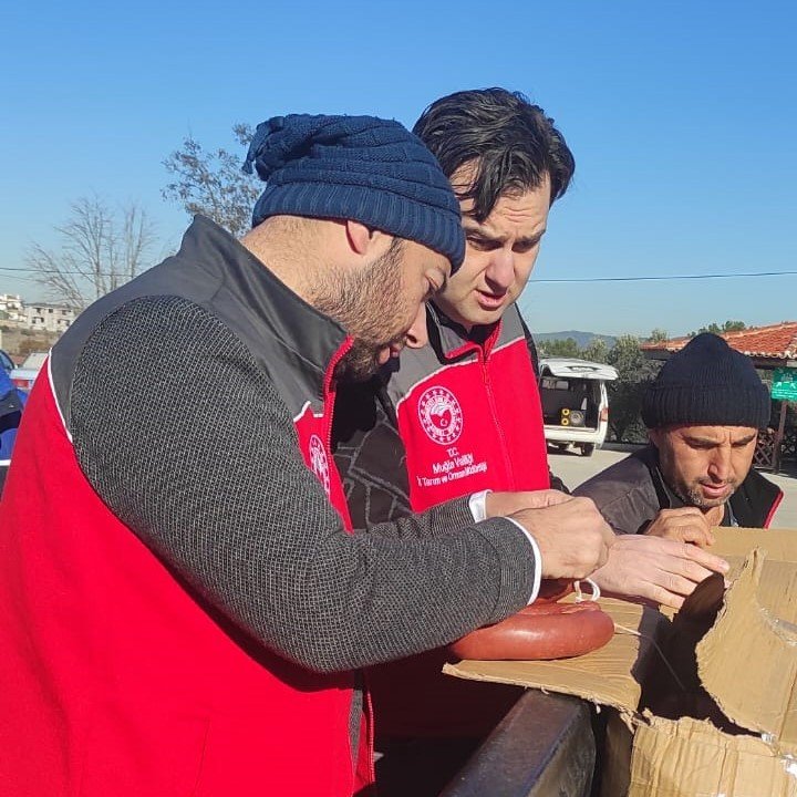 Menteşe otogarında menşei belli olmayan 305 kilo sucuk ele geçirildi