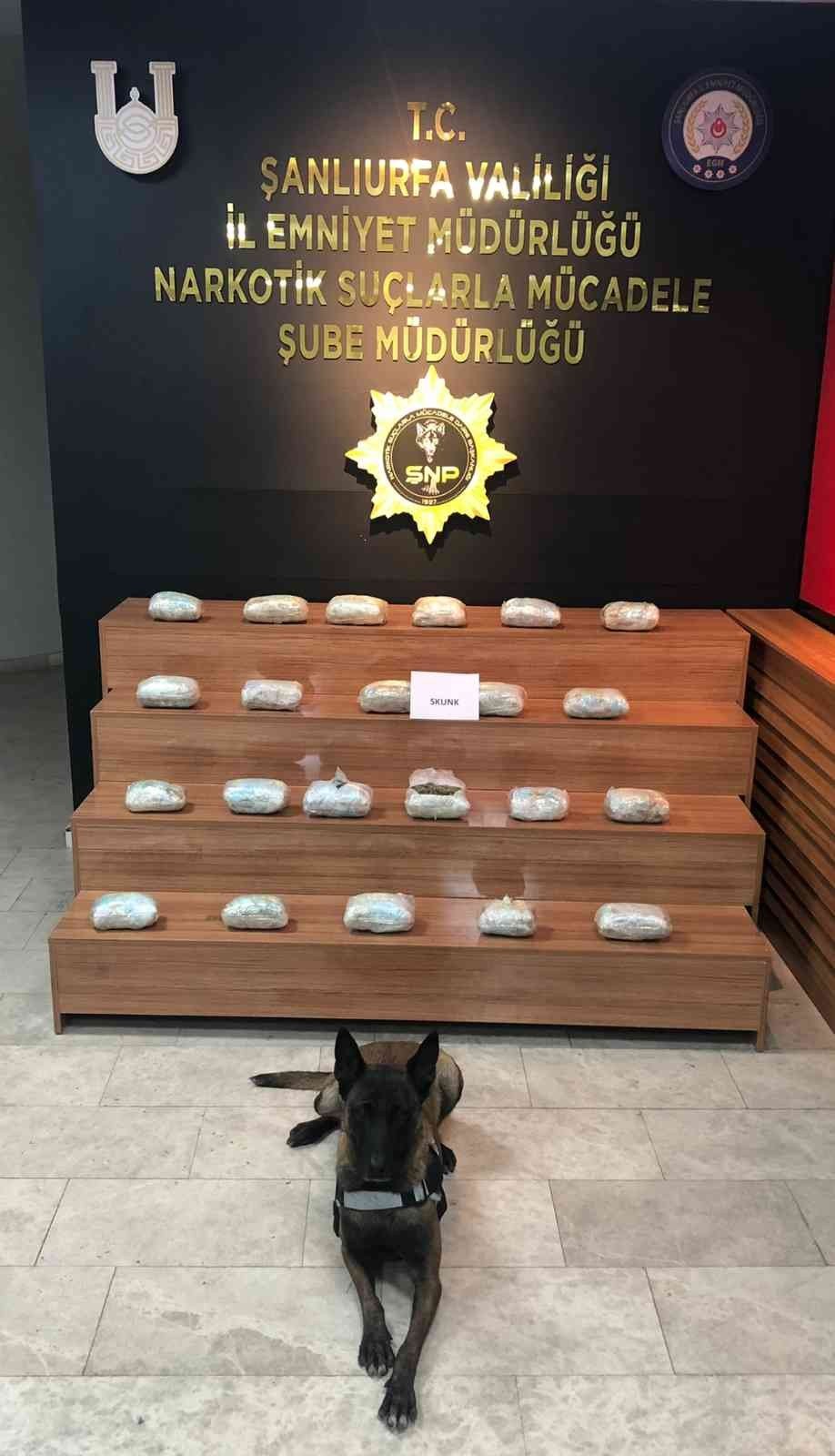 Şanlıurfa’da 91 kilo uyuşturucu ele geçirildi: 2 tutuklama