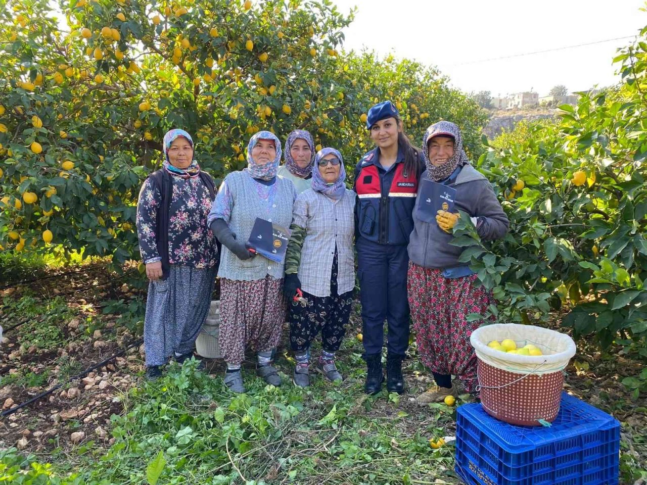 Jandarma limon bahçesinde işçilere ’Kadına El Kalkamaz’ projesini anlattı