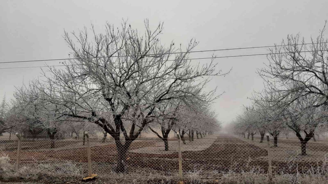 Adıyaman’da kırağı her yeri beyaza bürüdü