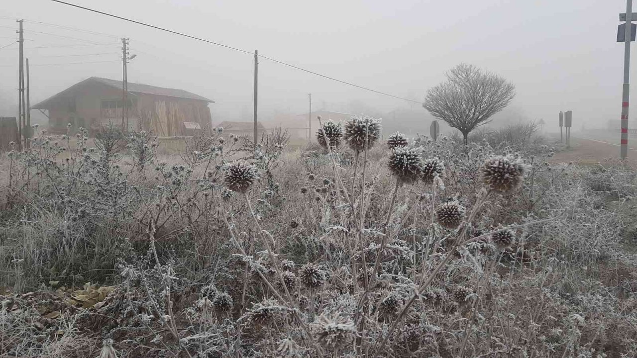 Adıyaman’da kırağı her yeri beyaza bürüdü