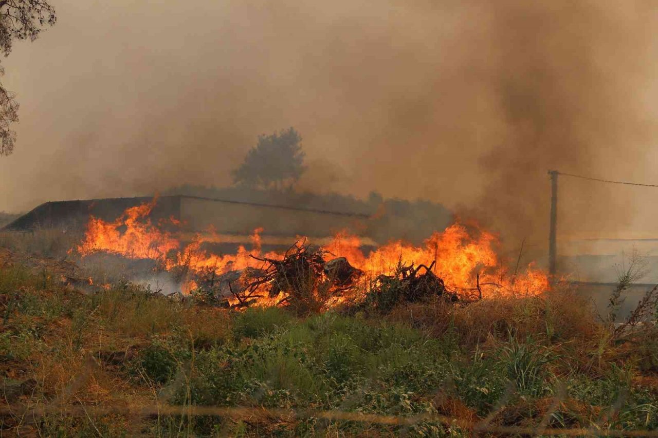 Manavgat orman yangını davasında karar