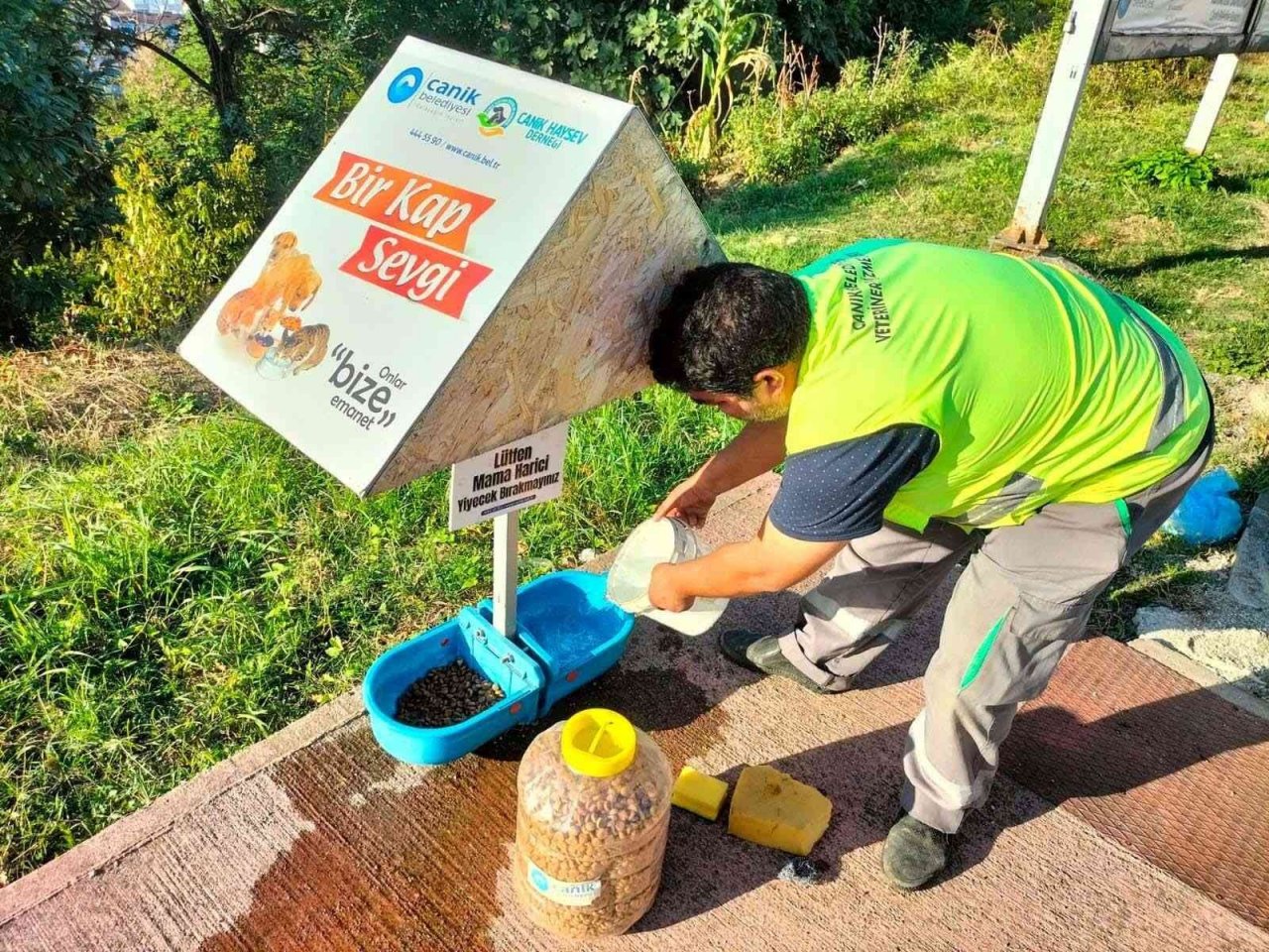 Başkan Sandıkçı: “Sokaktaki can dostlarımız bize emanet”