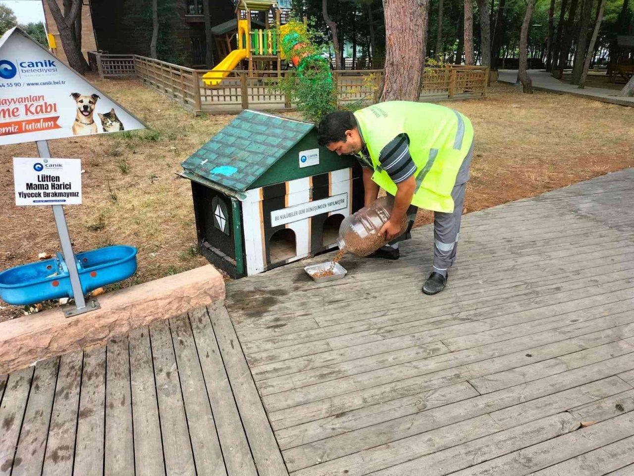 Başkan Sandıkçı: “Sokaktaki can dostlarımız bize emanet”