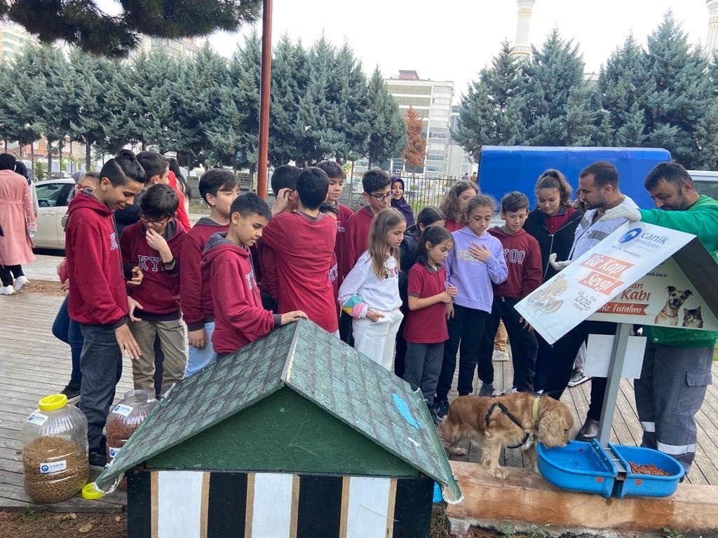 Başkan Sandıkçı: “Sokaktaki can dostlarımız bize emanet”