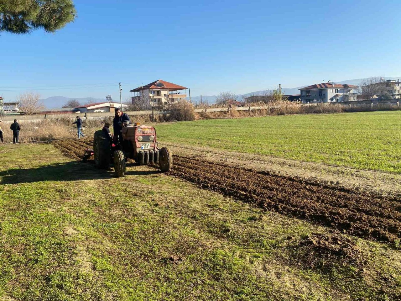 Öğrencilerin diktiği arpa ve yem bitkileri okullarına gelir olacak