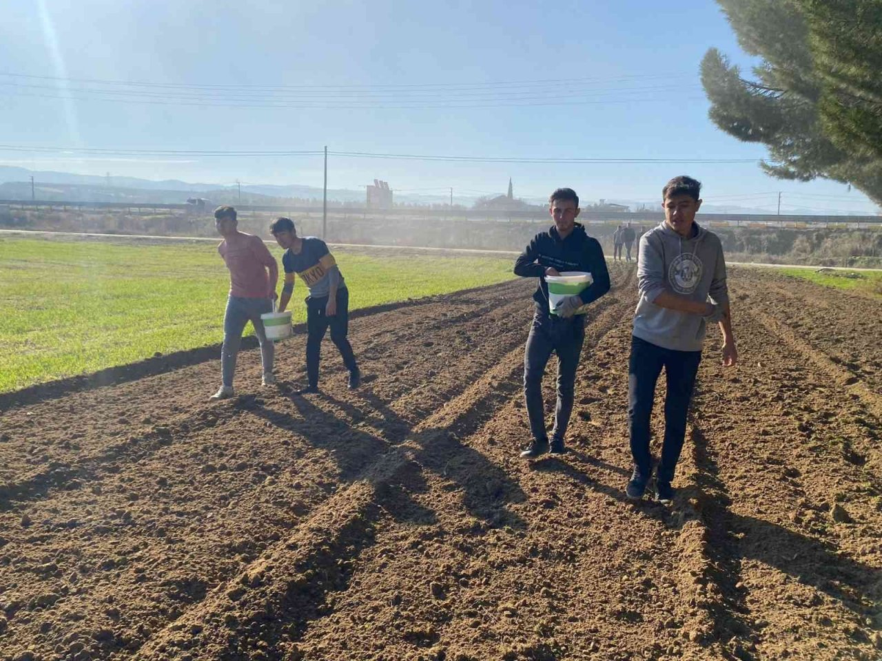 Öğrencilerin diktiği arpa ve yem bitkileri okullarına gelir olacak