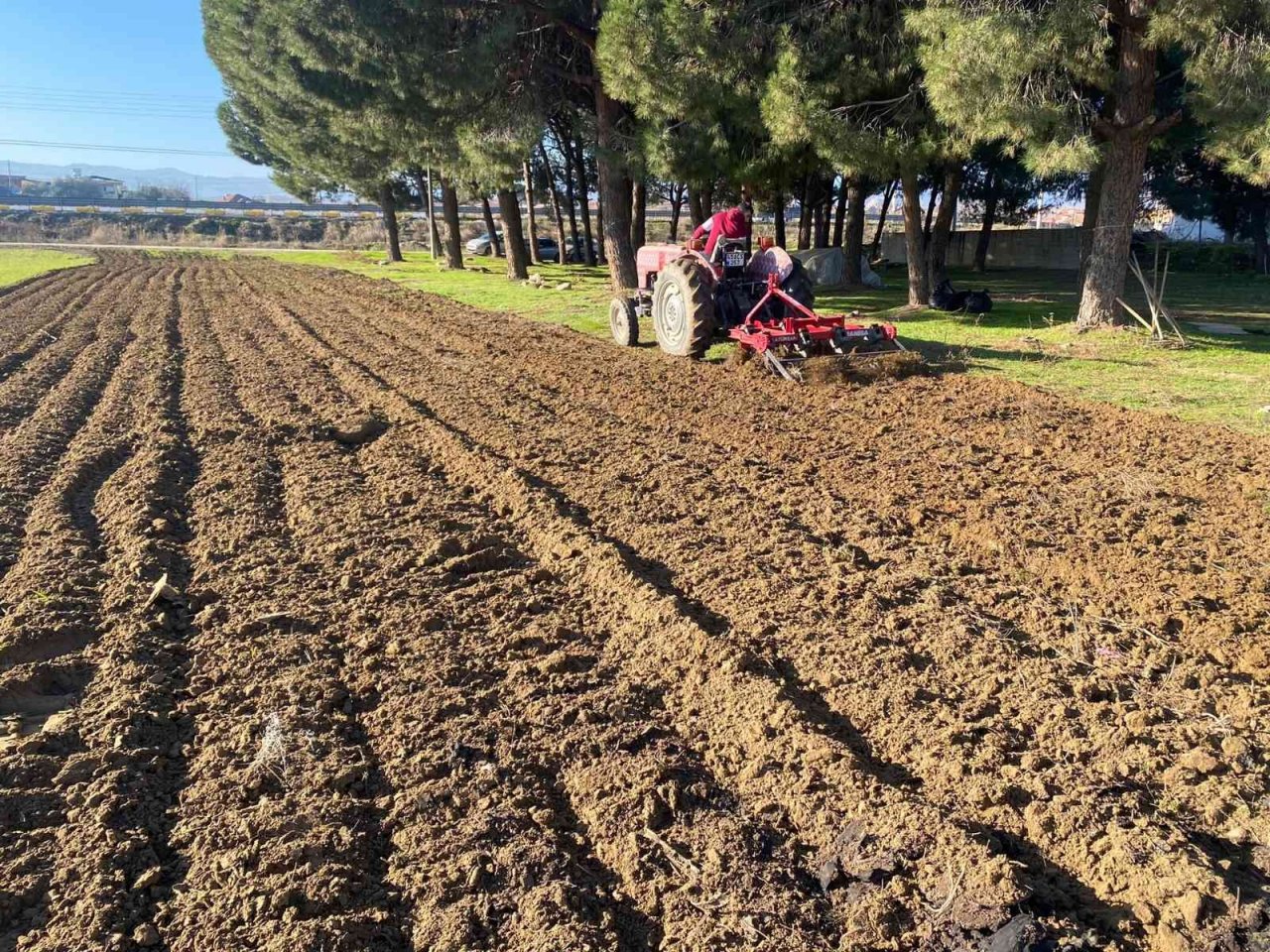 Öğrencilerin diktiği arpa ve yem bitkileri okullarına gelir olacak