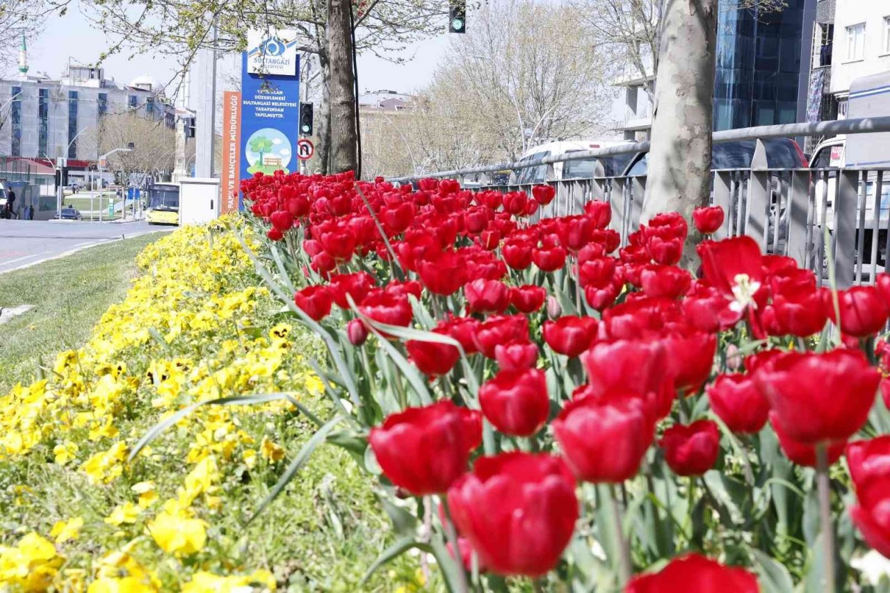 Sultangazi “Yeşil” ile Güzel