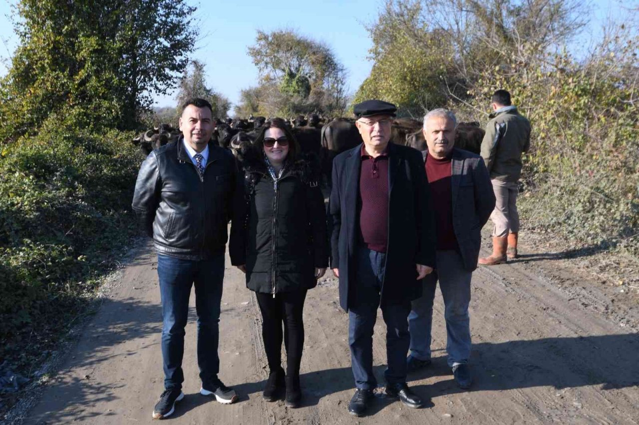 Manda pastırması, sığır pastırmasının yerini alıyor