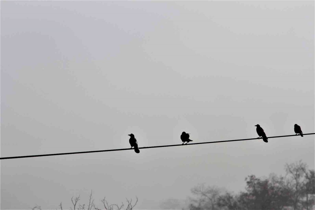 Elazığ ve Keban Baraj Gölü sis denizinde kayboldu