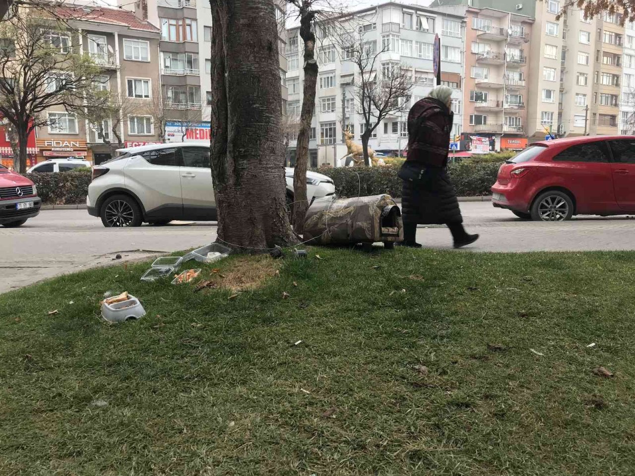 Çalınmasın diye hayvan kulübesini çelik telle ağaca bağlandılar