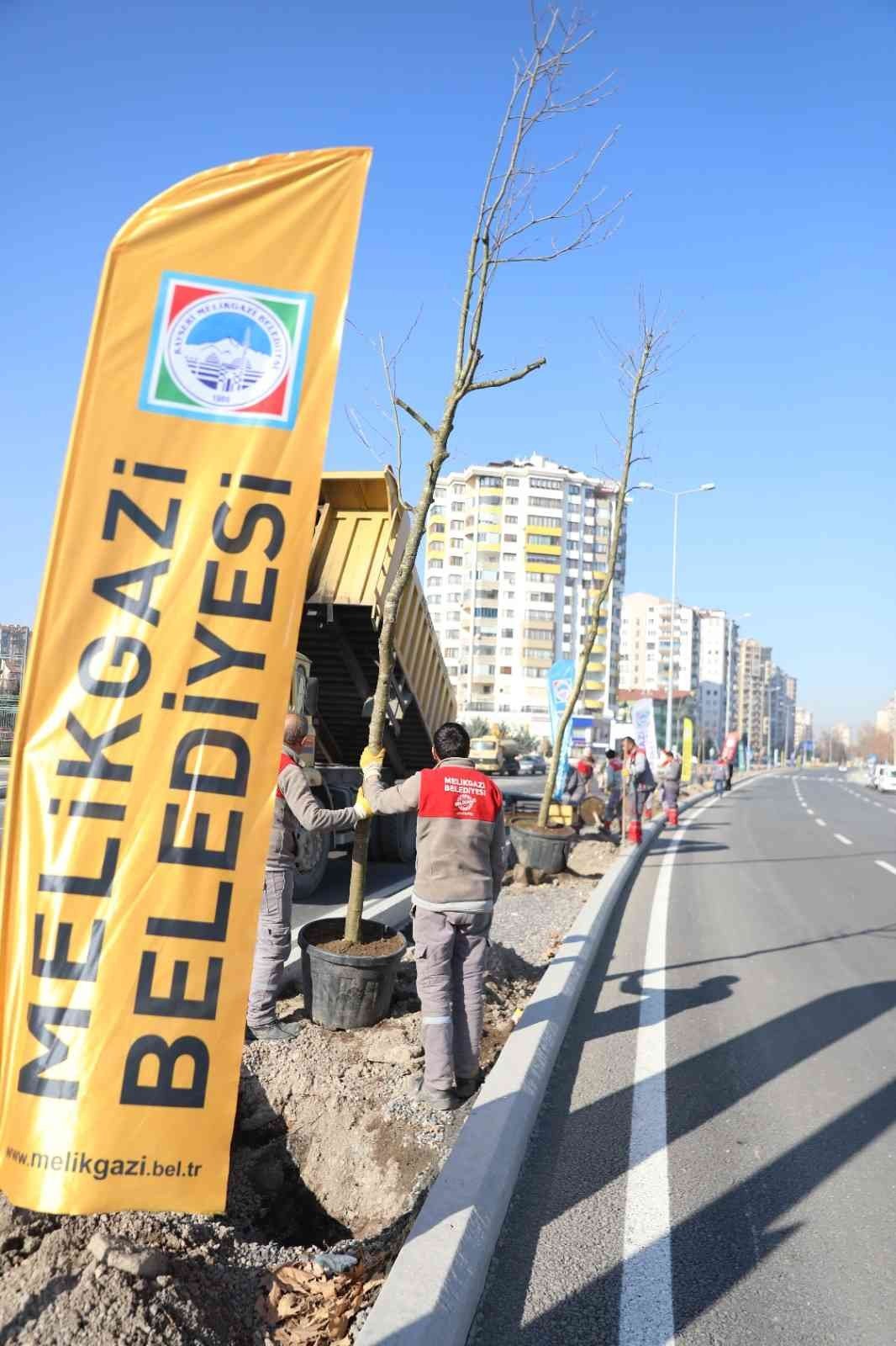 Melikgazi ilçeyi devasa ağaçlarla yeşillendirmeye devam ediyor