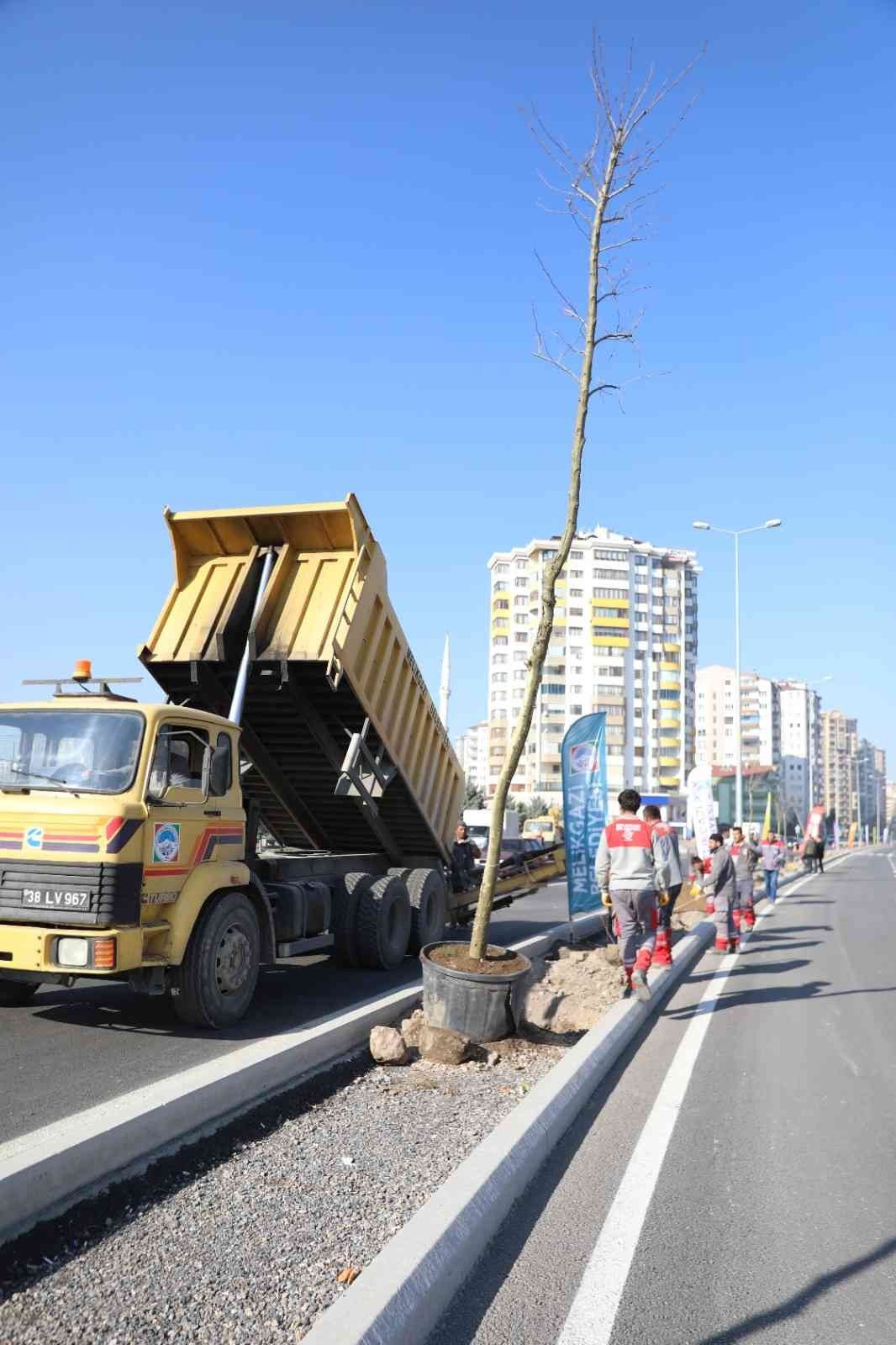 Melikgazi ilçeyi devasa ağaçlarla yeşillendirmeye devam ediyor